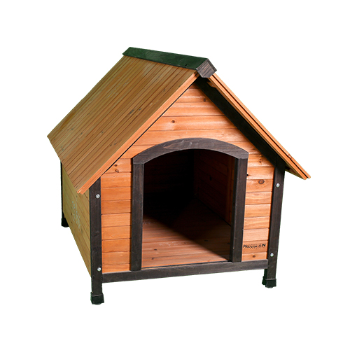 Dog House